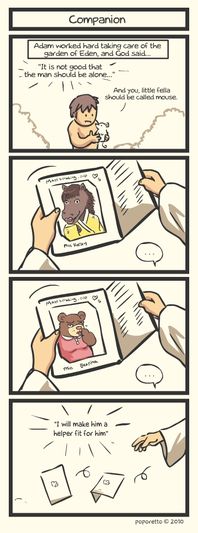GEN Companion